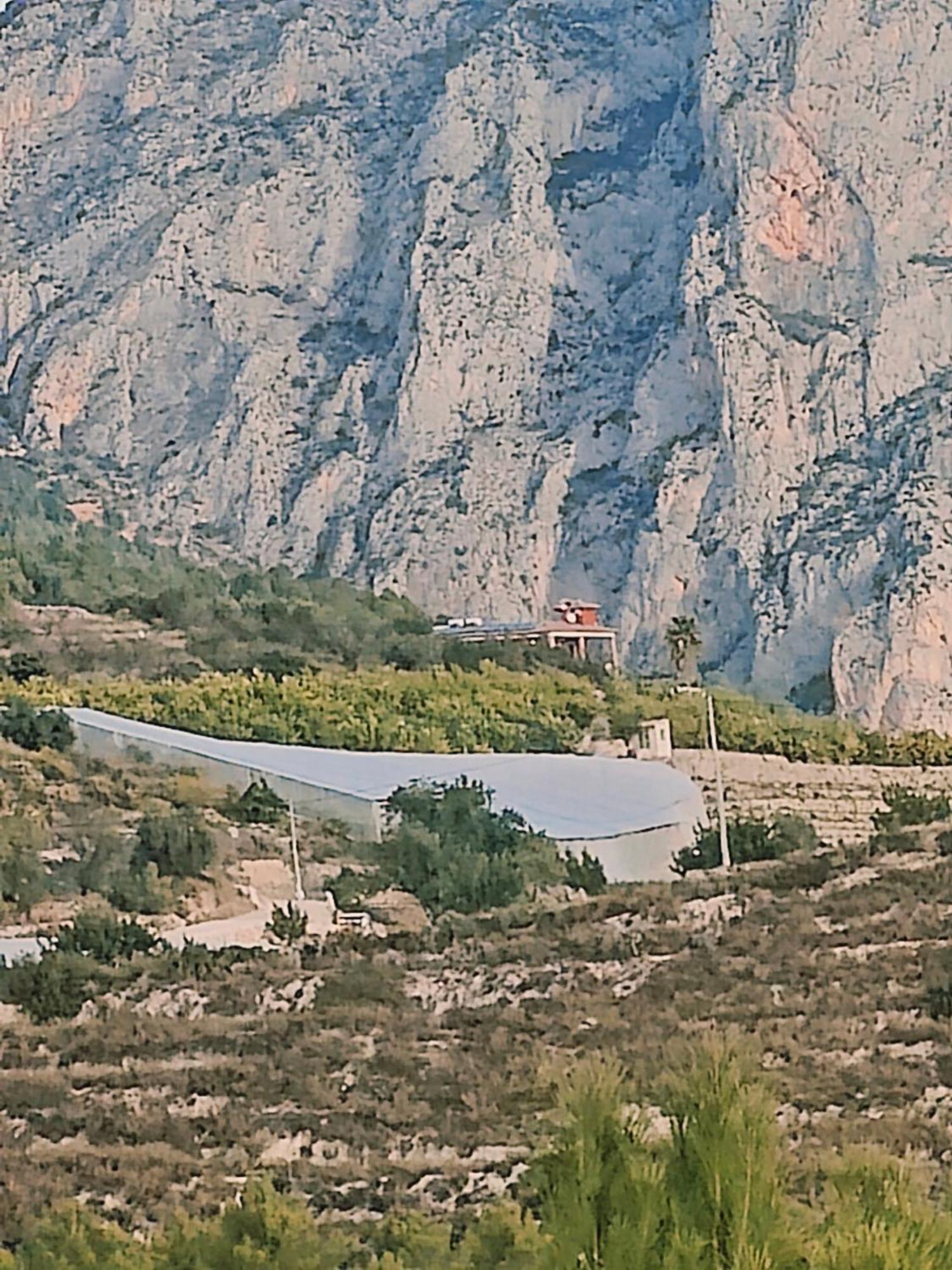 Bolulla Finca Oliva المظهر الخارجي الصورة