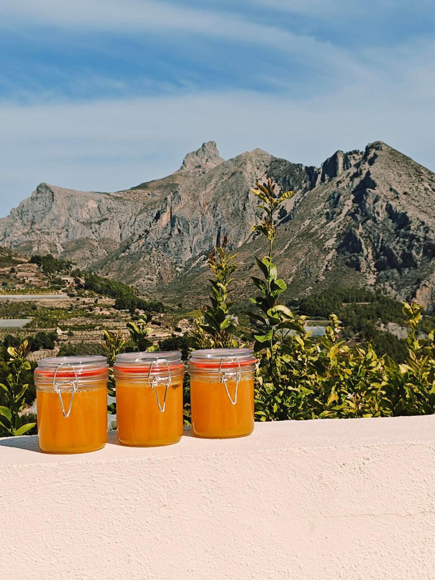 Bolulla Finca Oliva المظهر الخارجي الصورة
