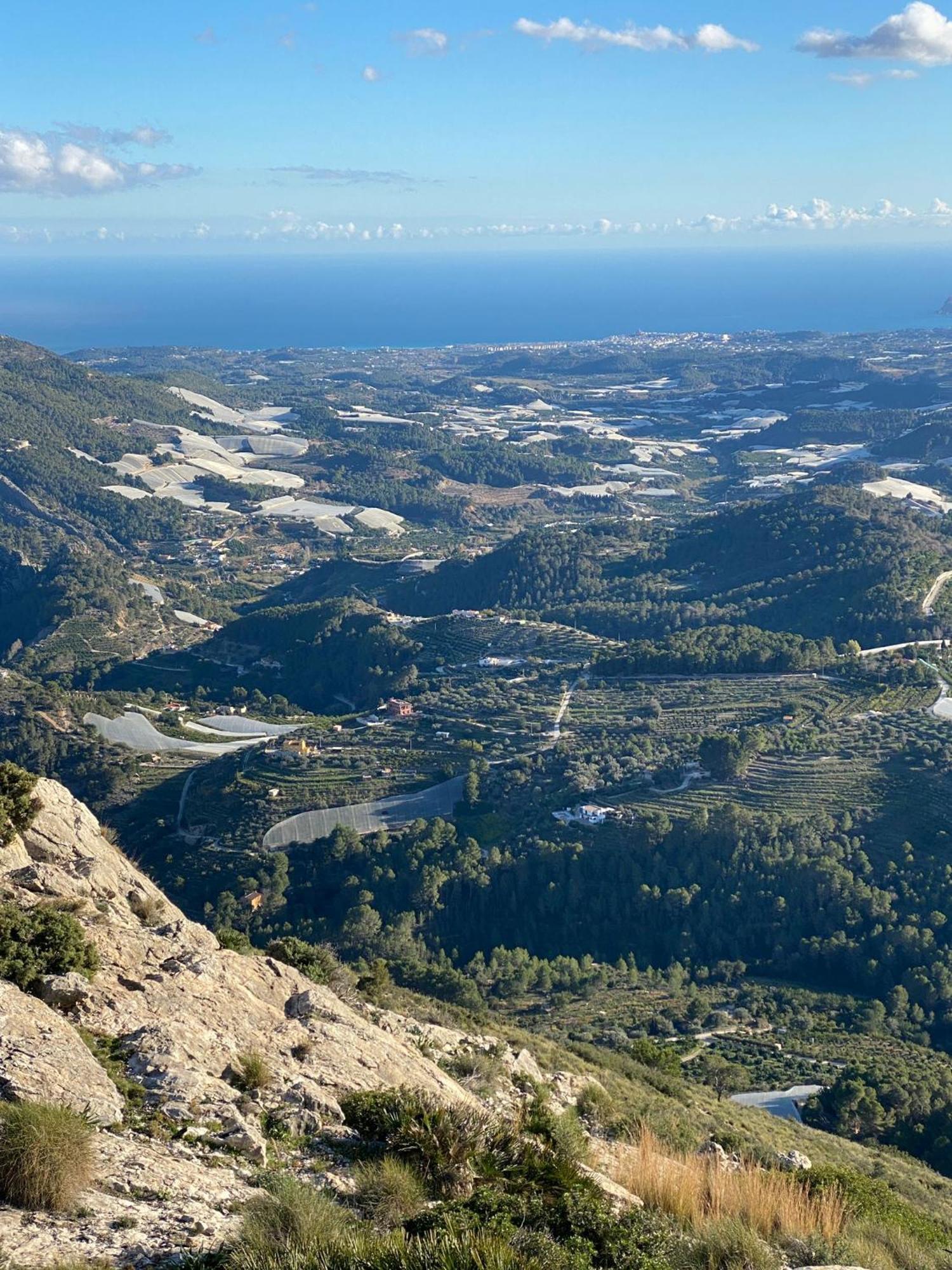 Bolulla Finca Oliva المظهر الخارجي الصورة
