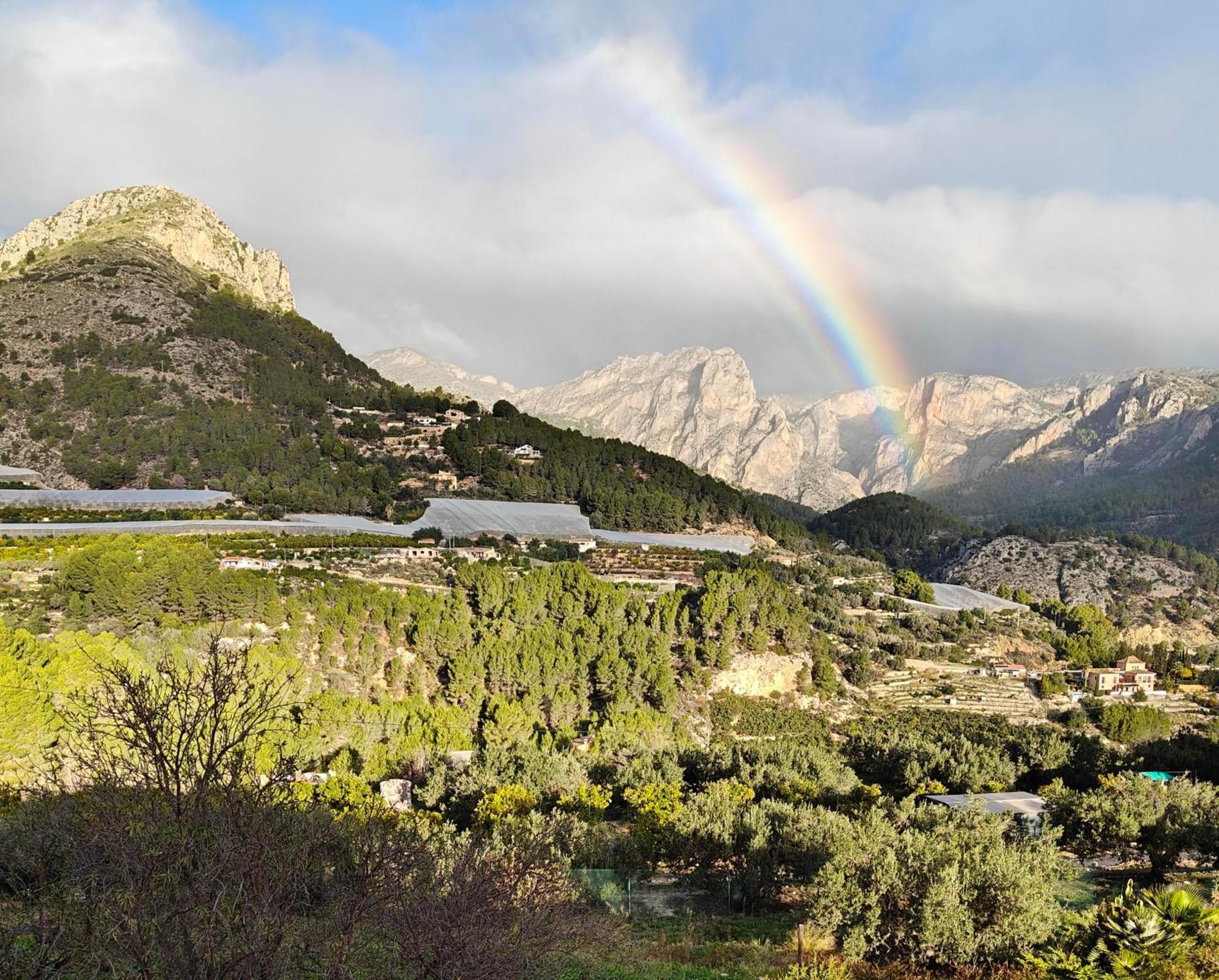 Bolulla Finca Oliva المظهر الخارجي الصورة