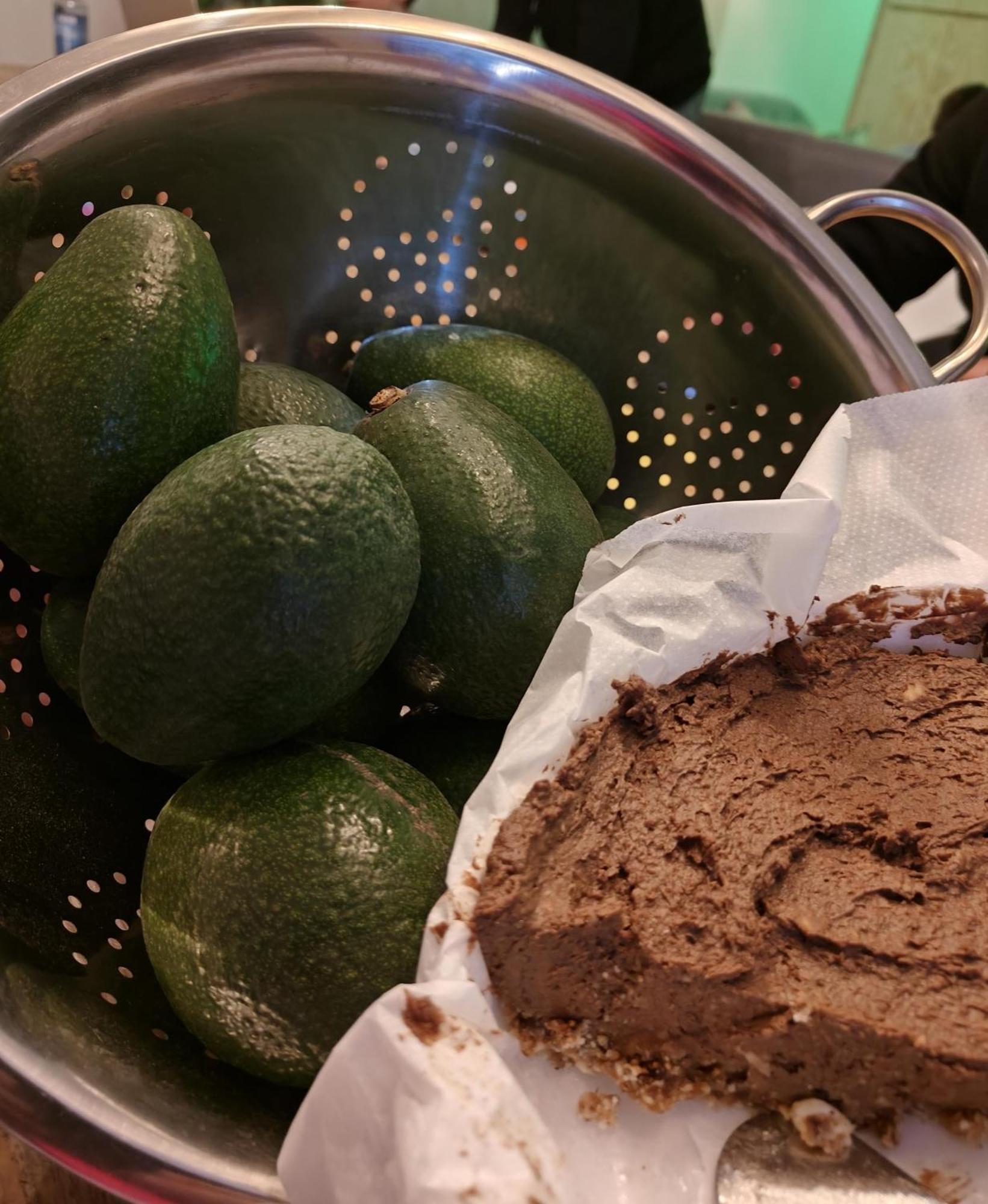 Bolulla Finca Oliva المظهر الخارجي الصورة